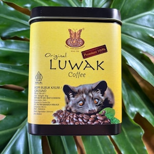 コーヒー LUWAK LIAR Kopi Luwak - the MOST EXPENSIVE Coffee in the World - Etsy