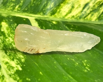 Pietra CALCITE Naturale - Calcite Gialla - Spiaggia di Srau - Pacitan - Giava Centrale - Indonesia - auto-raccolta - naturale e sorprendente - 24 g