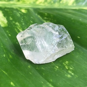 May include: A clear, raw quartz crystal rests on a large green leaf with lighter green and yellow markings. The crystal has a rough, irregular shape and appears translucent, reflecting light.