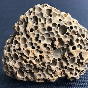 Puede incluir: Una piedra pómez porosa de color marrón claro con numerosos agujeros irregulares. La roca volcánica tiene una superficie rugosa y texturizada y diferentes tonos de marrón y gris. La apariencia única de la piedra la convierte en un elemento decorativo distintivo.