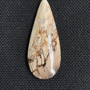 AGATE Petrified palm wood cabochon - natural - beige brown colored - from Java - Indonesia - Gemstone cabochon - mirror polished - 5.4 g