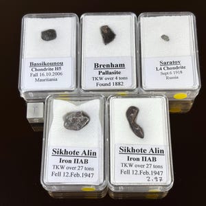 Puede incluir: Cinco meteoritos exhibidos en cajas de plástico transparente con respaldo blanco. Cada caja tiene una etiqueta con el nombre, tipo y origen del meteorito. Los meteoritos varían en tamaño y forma, con una apariencia oscura y texturizada.