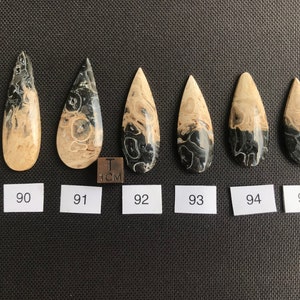 Petrified Fossilized Palm Root Cabochons - Natural - Java - Indonesia - amazing - both sides mirror polished - black-beige colored