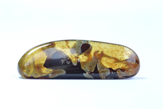 Blue Amber Freeform Cabashon From Sumantra, Indonesia Blue Amber Freeform Cabashon From Sumantra, Indonesia