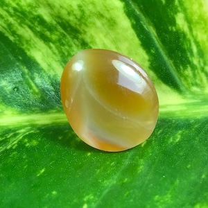 Könnte beinhalten: Ein glatter, ovaler, hellbrauner Achat-Edelstein mit weißen und orangefarbenen Wirbeln. Der Edelstein liegt auf einem grünen Blatt.