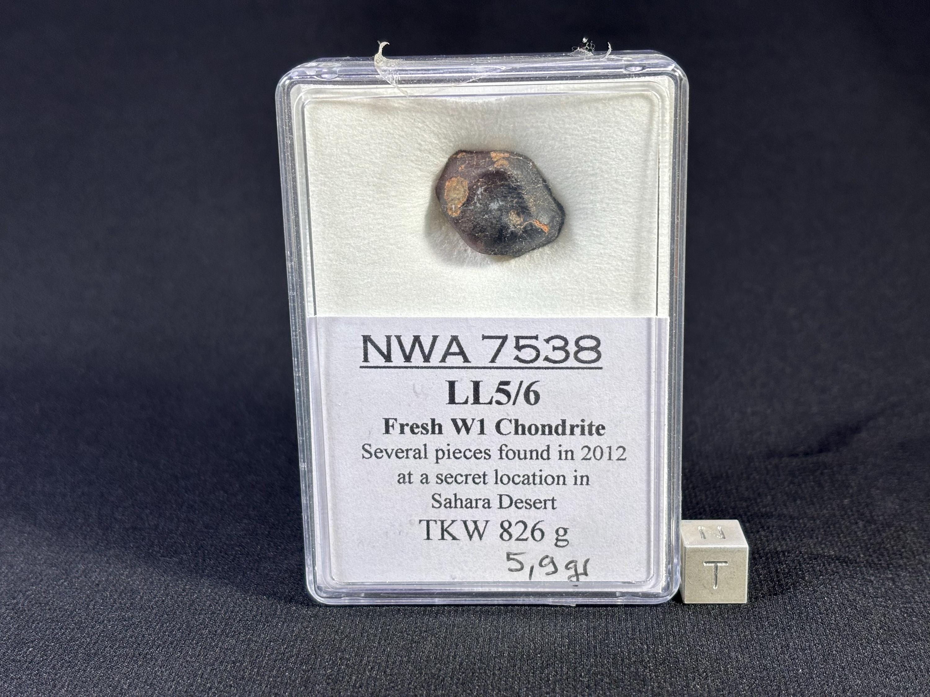 NWA 7538 コンドライト LL5/6 隕石 - 5.9g - Etsy 日本