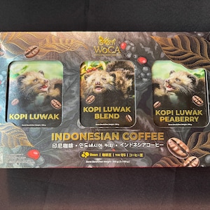 LUWAK coffee - Luwak coffee roasted beans from Bali Indonesia - Wild Kopie Luwak - Organic blend - Premium 100 % natural coffee - 300 g net