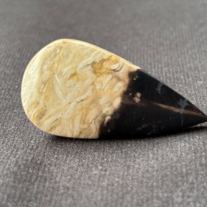 Petrified Palm Root Cabochon - Hand Polished - Fossil Gemstone from Indonesia - for Collectors and Jewelry Designers - natural - 6.8 g