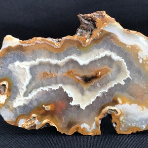 Könnte beinhalten: Eine große, unregelmäßig geformte Agatscheibe mit einem weißen, braunen und orangefarbenen Bandmuster. Der Achat hat eine natürliche, raue Kante.
