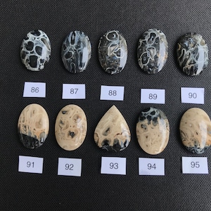 Petrified Fossilized Palm Root Cabochons - Natural - Java - Indonesia - amazing - both sides mirror polished - black-beige colored