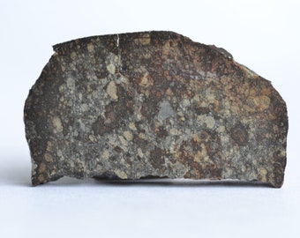 Meteorite KENDLETON - Chondrite L4 - fell 1939 in Texas USA - TKW 6.94 kg - rare and amazing slice - part slice - ex. Nems - 7.7 g