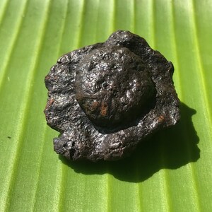 以下が含まれることがあります： 滑らかで丸みを帯びた表面を持つ、不規則な形の濃い灰色の岩。岩はわずかに金属光沢があり、隕石のように見える。