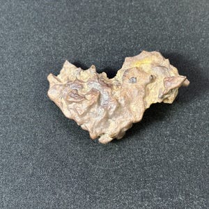 以下が含まれることがあります： 独特の形をした、ざらざらとした質感の茶色とタン色の石で、小さな暗色のインクルージョンがあります。石は自然で有機的な外観をしており、濃い灰色の表面にあります。 全体的な形状は不規則で興味深いものです。