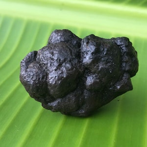 May include: A dark, irregularly shaped rock with a rough, textured surface. The rock is a deep charcoal color and sits on a bright green leaf, creating a contrast in color and texture. The rock appears to be a natural mineral specimen.