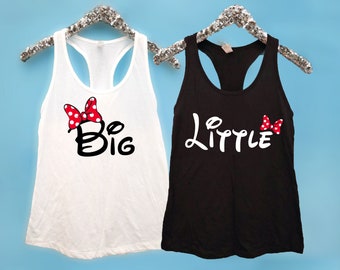 disney big little reveal