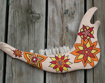 Real Painted Jaw Bone / Painted Bones / Real Painted Skull / Bone Art