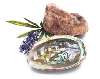 Abalone Shell/ Natural Abalone Shell/ Meditation Gifts/ Tumbled Stone Holder/ Yoga Gifts