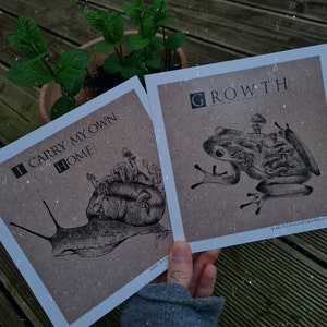 Ensemble de cartes postales La grenouille et l'escargot
