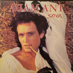 Rare Adam And The Ants Vinyl Record 1981 Japanese Import W Etsy Rare Adam And The Ants Vinyl Record 1981 Japanese Import W Etsy