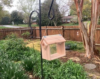 Bluebird Feeder
