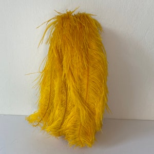 May include: A cluster of bright yellow feathers, possibly ostrich, against a white background. The feathers have a soft, fluffy texture with a few darker, slender quills visible. The arrangement suggests a decorative item.