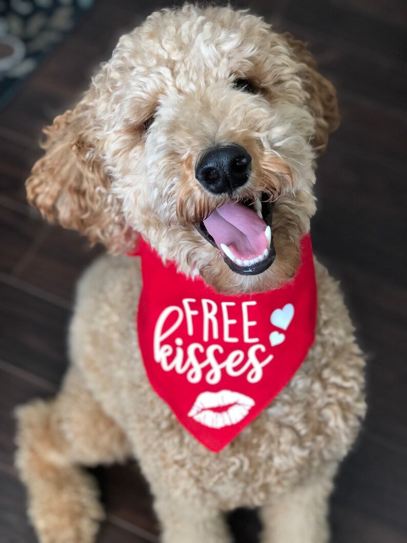 Dog Bandana Valentines Day Bandana Free Kisses Valentines Day Dog Free Kisses Bandana Valentines Gift Dog Holiday Bandana