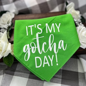 Gotcha Day Bandana | It&#39;s My Gotcha Day | Dog Adoption Bandana | Dog Rescue Bandana | Dog Bandana | Gotcha Day |