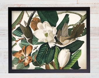 Vintage Audubon Black Billed Cuckoo Bird Print
