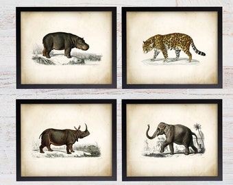 Safari Art Prints. Vintage Safari Nursery Art. Safari Illustration. Savanna Animal Art. Natural History Art. Hippo Art. Rhino Art. Elephant.