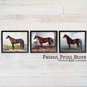 Vintage Horse Print Set.  Horse Art. Horse Print. Horse Decor. Horse Painting. Horse Bedroom Decor. Horse Bedroom Art. Horse Nursery Art.