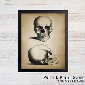 Antique Skull Print. Skull Art. Skull Decor. Vintage Anatomy Art. Anatomy Print. Anatomy Poster. Science Art. Science Gift. Anatomy Gift
