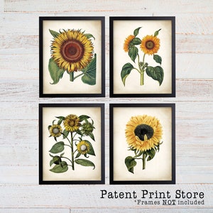 Sunflower Botanical Art Prints. Sunflower Decor. Botanical Print. Botanical poster. Botanical Illustration. Botanical Art. Farmhouse. 211 image 1