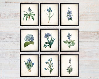 Blue Botanical Art Prints, Set of 9, Farmhouse Wall Decor