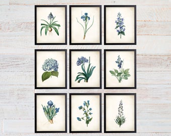 Blue Botanical Art Prints. Blue Flower Prints. Flower Wall Art. Botanical Print. Kitchen Art Prints. Dining. Botanical Wall Art. Farmhouse.