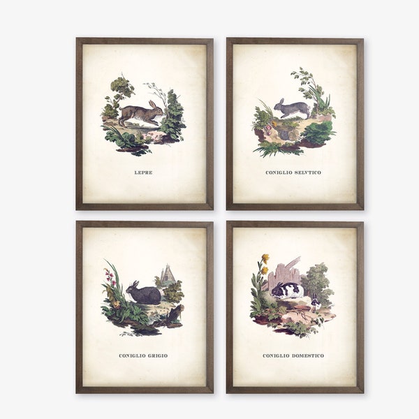 Vintage Nursery Art Etsy