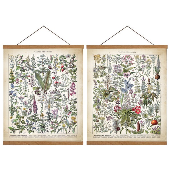 Vintage Medicinal Plant Prints - Botanical Wall Art, Set of 2