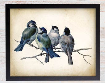 Hector Giacomelli Blue Birds Antique Illustration, Farmhouse Art Print