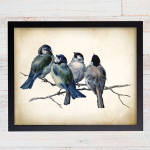 Hector Giacomelli Blue Birds Antique Illustration, Farmhouse Art Print
