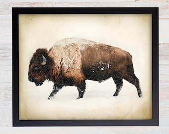 Buffalo Print. Bison Print.  Buffalo Wall Art. Buffalo Photography. Animal Wall Art. Bison Poster. Buffalo Decor. Farmhouse Art Print. 116