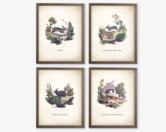 Set of 4 Rabbit Nursery Prints. Vintage Bunny Prints. Bunny Art. Vintage Nursery Art. Woodland Nursery Decor. Fairy Tale Art Prints. Whimsy.