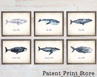 Watercolor Whale Art Print Set | Coastal Beach House Decor