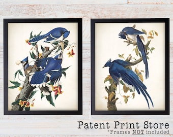 Audubon Blue Bird Print Set, Botanical Art Prints