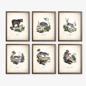 Woodland Nursery Decor. Vintage Nursery Decor. Woodland Animal Prints. Woodland Nursery Prints. Vintage Nursery Art Prints. Forest Nursery.