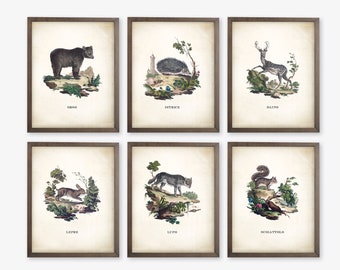 Woodland Nursery Decor. Vintage Nursery Decor. Woodland Animal Prints. Woodland Nursery Prints. Vintage Nursery Art Prints. Forest Nursery.