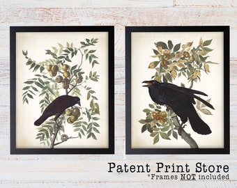 Black Birds Print Set. Audubon Crow and Raven Print Set, Audubon Bird Prints, Audubon Art, Bird Prints, Audubon Prints, Audubon Print Set