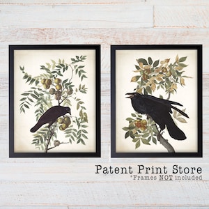 Audubon Crow and Raven Print Set, Black Bird Prints