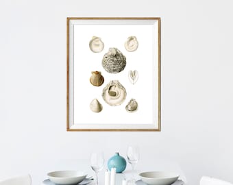 Seashell Print, Coastal Beach House Wall Art
