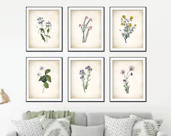 Wildflower Botanical Print Set. Flower Art. Flower prints. Wildflower Art Prints. Botanical Prints. Farmhouse Art Prints. Flower Wall Art..