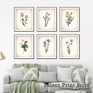 Wildflower Botanical Print Set. Flower Art. Flower prints. Wildflower Art Prints. Botanical Prints. Farmhouse Art Prints. Flower Wall Art..
