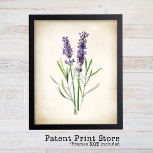Vintage Watercolor Lavender Print. Botanical Print. Art Print. Lavender Art. Antique Botanical Prints. Wall Art. Farmhouse Decor. Herb Art.